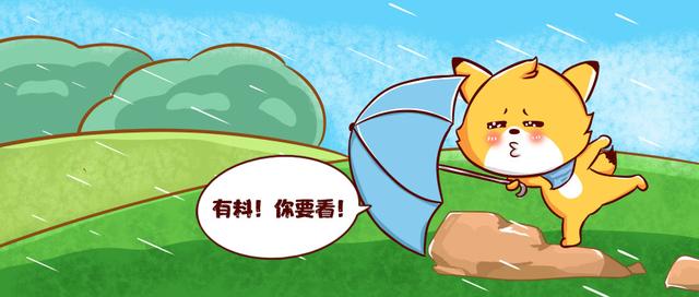 有料